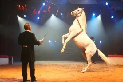 Quel cirque tait l'invit de la 1e biennale du cirque de Vierzon ?