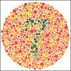 Quel est le nombre prsent dans cette image ?