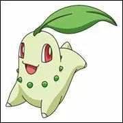 Quel est ce Pokmon ?