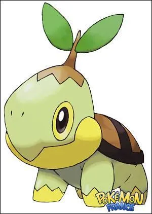 Quel est ce Pokmon ?