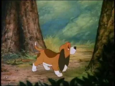 Comment s'appelle ce chien ?