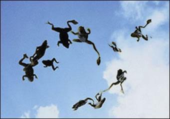 Quelle est l'origine de l'affirmation ' il a plu des grenouilles ' ?