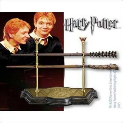 Qui est le propritaire de cette baguette magique ?