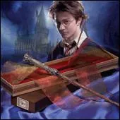 Qui est le propritaire de cette baguette magique ?