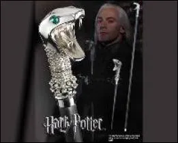 Qui est le propritaire de cette baguette magique ?