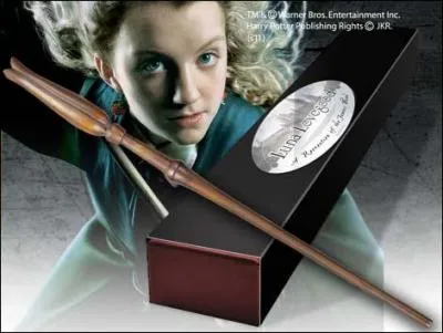 Qui est le propritaire de cette baguette magique ?