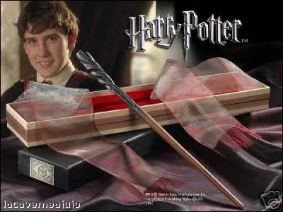 Qui est le propritaire de cette baguette magique ?