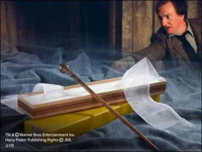 Qui est le propritaire de cette baguette magique ?