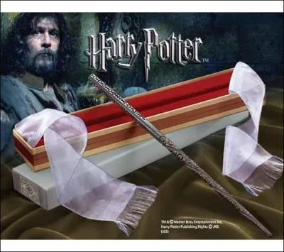 Qui est le propritaire de cette baguette magique ?