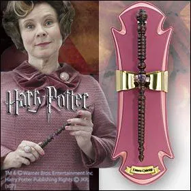 Qui est le propritaire de cette baguette magique ?