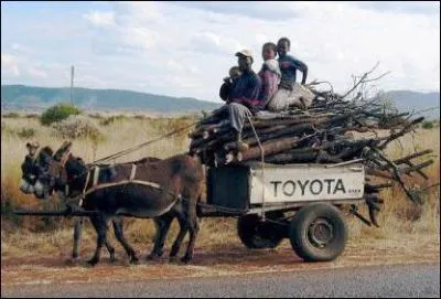 Pendant que les enfants ont ...