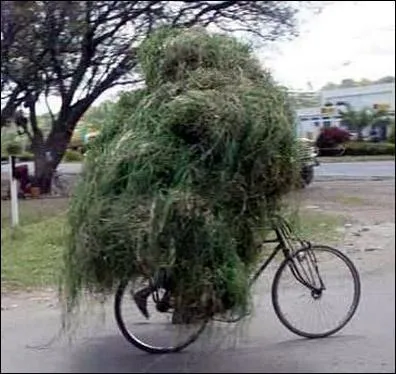 Patrick finissait ...