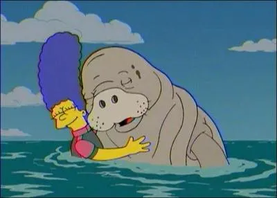 Te transformer en...