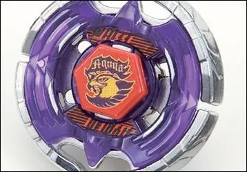 Quel est le nom de cette toupie ?