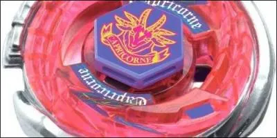 Quel est le nom de cette toupie ?