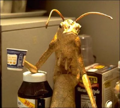 De quel film provient cette image ?