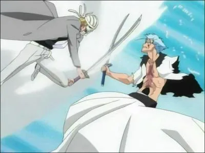Qui est-ce qui a coup le bras de Grimmjow ?