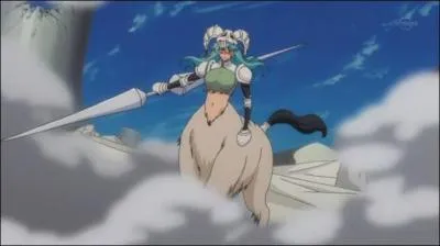 Quel tait le rang de Neliel Tu Oderschvank au sein de l'espada ?