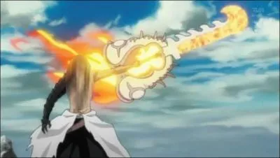 A qui appartient ce bankai ?