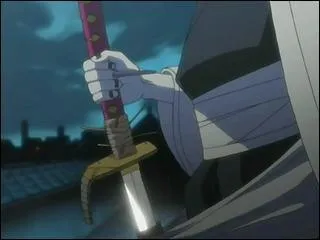 A qui appartient ce zanpakuto ?