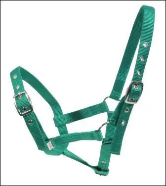 Comment s'appelle cet objet ?