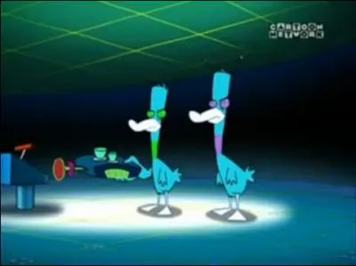 Que cherchent ces canards ?