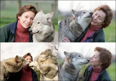 Quel est le nom de l'auteur ?