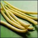 De quel lgume le Rocdor est-il une varit ?