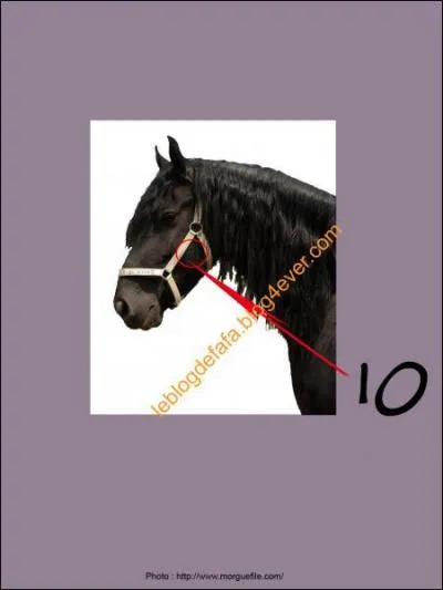 A quoi correspond le 10 sur la photo ?