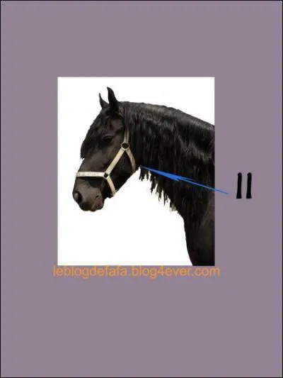 A quoi correspond le 11 sur la photo ?