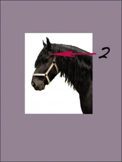 A quoi correspond le 2 sur la photo ?