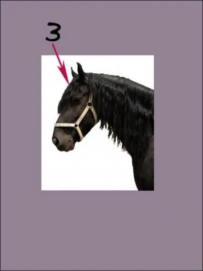 A quoi correspond le 3 sur la photo ?