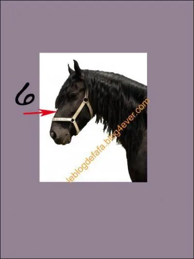 A quoi correspond le 6 sur la photo ?