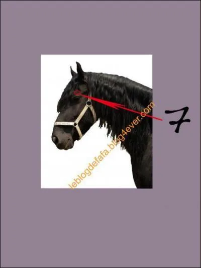 A quoi correspond le 7 sur la photo ?