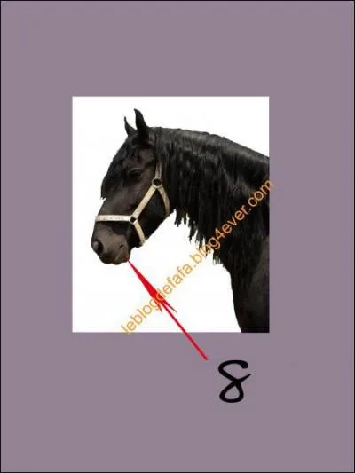 A quoi correspond le 8 sur la photo ?