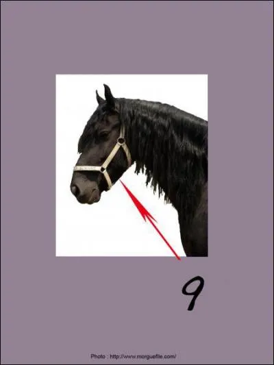 A quoi correspond le 9 sur la photo ?