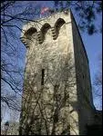 La Tour des pins est un vestige des fortifications de Montpellier, datant du 12 me sicle. Question : Le 12 me sicle, fait parti...