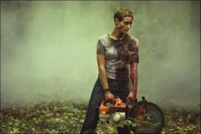 De quel film provient cette image ?