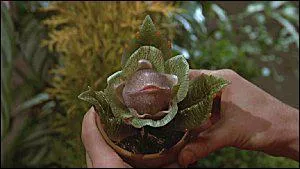 De quel film provient cette image ?