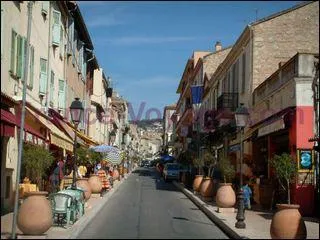 Pourquoi est rpute la ville de Vallauris ?