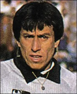 Se lacrer le visage avec un bistouri cach dans vos gants. Ce goal chilien l'a fait lors de Brsil-Chili1989, pour obtenir la victoire sur tapis vert. Original, mais a a rat. Quel est son nom ?