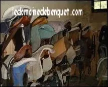 Aprs le cours, o range-t-on le harnachement (selle et filet) de son poney ?