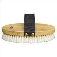 Comment s'appelle cette brosse ?