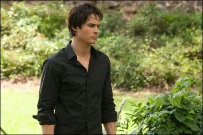 Dans la saison 2, Damon est :