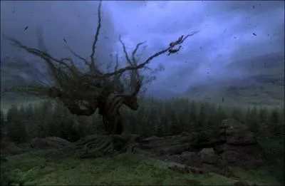 Sur quel arbre Harry et Ron s'crasent-t-ils avec la Ford Anglia ?