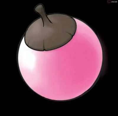 Comment s'appelle ceci ?