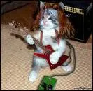 Les Animaux font leur Cinma; Dernire Partie. A quel film vous fait penser cette photo ?