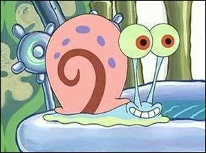 Comment s'appelle l'animal de compagnie de Bob ?