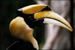 Quel est cet animal menac� ?