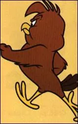 Ce petit faucon veut dvorer le gros coq ... .